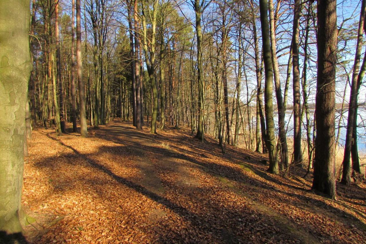Ferienhaus Mit 2 Fewo In Mecklenburg Lägenhet Wesenberg Exteriör bild