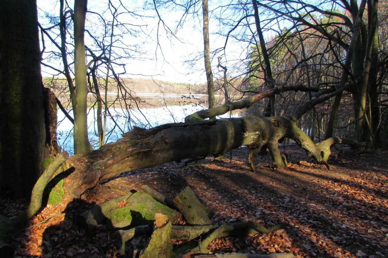 Ferienhaus Mit 2 Fewo In Mecklenburg Lägenhet Wesenberg Exteriör bild