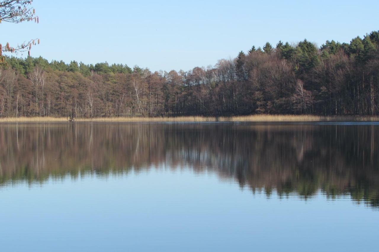 Ferienhaus Mit 2 Fewo In Mecklenburg Lägenhet Wesenberg Exteriör bild