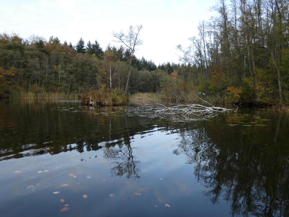 Ferienhaus Mit 2 Fewo In Mecklenburg Lägenhet Wesenberg Exteriör bild